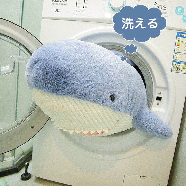 Tl4z9s 8kgpdnm Tl4z9s 8kgpdnm