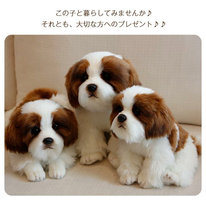 楽天市場 ぬいぐるみ 犬 シーズー 犬 リアル 犬 トイプードル グッズ 動物 いぬ アニマル いぬわんわん かわいい 手触りふわふわ おもちゃ 置物 店飾り 友達 子供 クリスマス プレゼント お誕生日 贈り物 24cm Keiwa