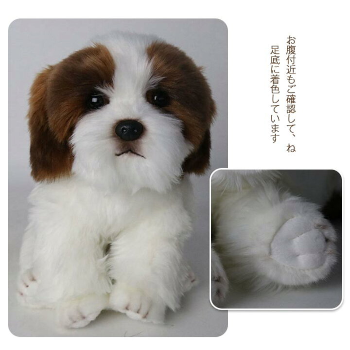 楽天市場 ぬいぐるみ 犬 シーズー 犬 リアル 犬 トイプードル グッズ 動物 いぬ アニマル いぬわんわん かわいい 手触りふわふわ おもちゃ 置物 店飾り 友達 子供 クリスマス プレゼント お誕生日 贈り物 24cm Keiwa