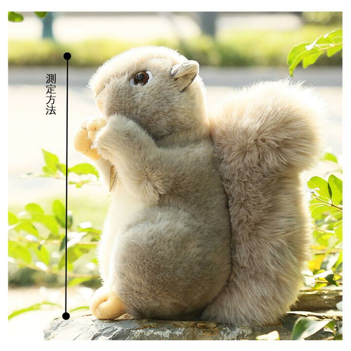 楽天市場】リス ぬいぐるみ 置物 リアル ふわふわ 動物 アニマル 