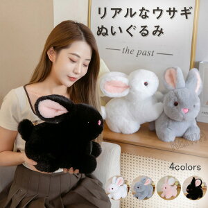  ʂ A e ETM  ETM̂ʂ u rbg D ӂӂ    q v[g a Mtg NX}X 30cm