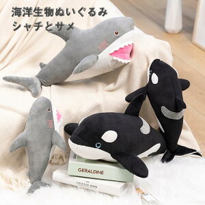 Aj} ʂ Cm V` T  ~  YQ    NbV CeA G v[g Mtg q a NX}X j 蕨 40cm