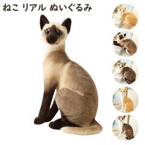 L ʂ A ˂    lR ˂ CAT   Aj} q ̎q j̎q@j a NX}X Mtg v[g