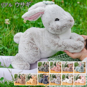 ETM A  rbg ʂ  tt ӂ   ̂ʂ  CeA v[g Mtg 蕨 LbY qǂ a NX}X j 5