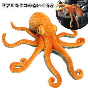 ^R ʂ A ̓ {  ^R̂ʂ  CpNg l`  Cm q ǂ  a j Mtg 蕨 v[g CeA 80cm