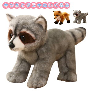 ʂ ^kLƃLcl ACO}  A  n  Aj} v[g  q G j a j Mtg 38cm