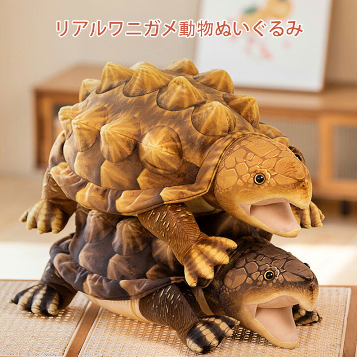 楽天市場】リアル ワニガメ 鰐亀 ぬいぐるみ カメグッズ 亀 抱き枕 
