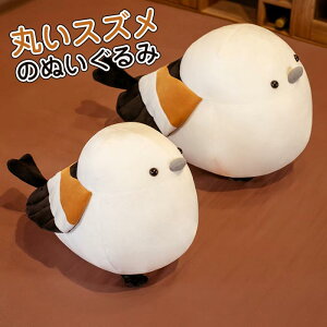 XY ʂ   Aj}  l`  D    킢 n ObY  u NX}X a v[g 蕨 50cm