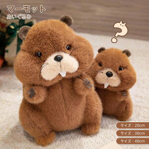 }[bg ʂ  ӂ SNSőlC ܂܂   groundhog  킢  q a j NX}X Mtg v[g20cm 30cm 40cm