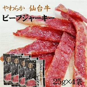 䋍 r[tW[L[100g(25g×4)  [
