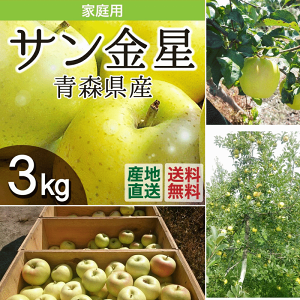 \̔  \ ʕ XÌyY T ƒp 3Kg/yz