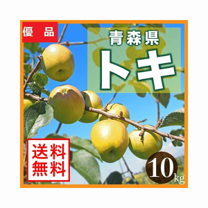  \ ʕ XÌyY gL Di 10Kg/yz