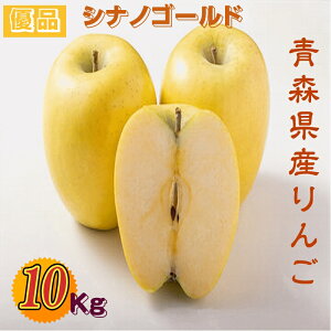 \̔  ʕ XÌyY VimS[h Di 10Kg/ 