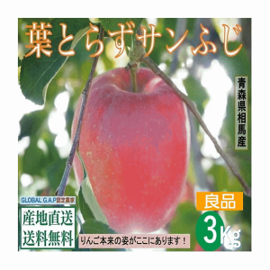早期予約販売 りんご 果物 青森県津軽産りんご【葉とらずサンふじ】良品 3Kg/箱【送料無料】
