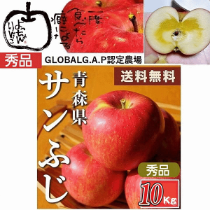 \̔  ʕ XÌyY Tӂ Gi 10Kg/yz