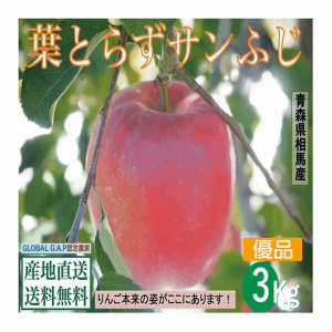 早期予約販売 りんご 果物 青森県津軽産りんご【葉とらずサンふじ】優品 3Kg/箱【送料無料】