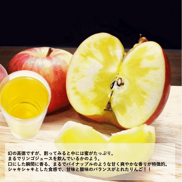 楽天市場】りんご 予約販売 話題のこうとく 5Kg 人気の高徳 小玉