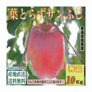 \̔  ʕ XÌyY񂲁ytƂ炸TӂzDi 10Kg/yz