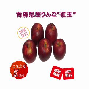  ʕ XÌyY g ƒp 5Kg/yz