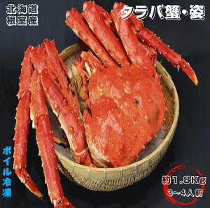 ^oI@p1.8kgO 3-4lO {CⓀ kCY  Yn