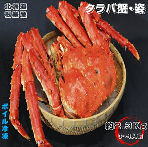 タラバ蟹 姿2.3kg前後 3-4人前 ボイル冷凍 北海道産 送料無料 産地直送