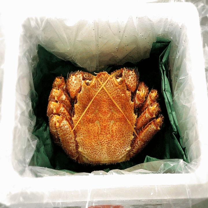 ボイル毛蟹400g前後　中6尾　北海道さん　送料込み 楽天市場】毛蟹 400g前後 ボイル冷凍 北海道根室産 送料無料