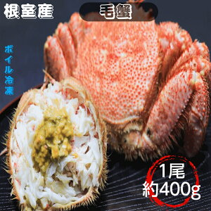 ъI 400gO {CⓀ kCY  Yn lO