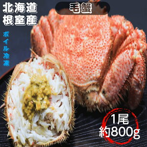 ъI 800gO {CⓀ kCY  Yn 2lO