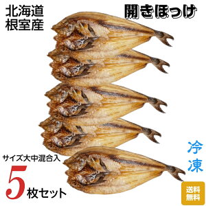 kCY t Jق TCY咆 Ⓚ 5Zbg 