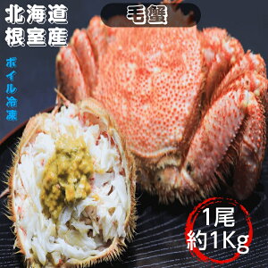 ъI 1KgO {CⓀ kCY  Yn 2lO