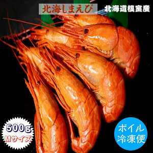 kC܂ 500g MTCY {CⓀ kCY Yn 