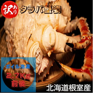 󂠂 ^oI p2.7kg O {CⓀ kCY  Yn