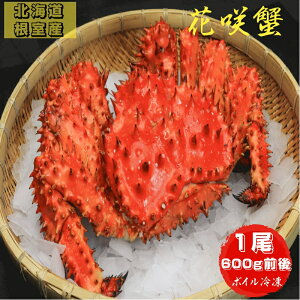 ԍI 600gO {CⓀ kCY  Yn lO