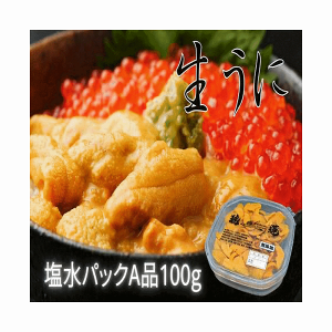 うに 塩水うに A品 冷蔵 北海道根室産 塩水エゾバフンうに100g 海産物 送料無料 産地直送
