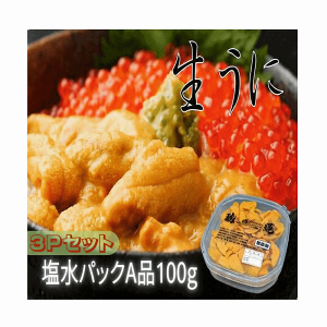 うに 塩水うに A品 冷蔵 北海道根室産 塩水エゾバフンうに100g×3パック 海産物 送料無料 産地直送