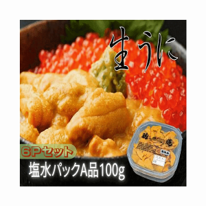 うに 塩水うに A品 冷蔵 北海道根室産 塩水エゾバフンうに100g×6パック 海産物 送料無料 産地直送
