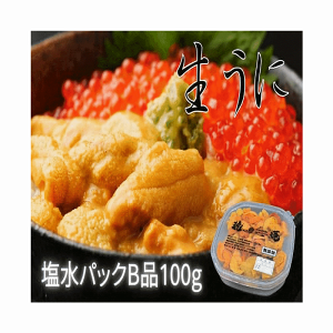 うに 塩水うに B品 冷蔵 北海道根室産 塩水エゾバフンうに100g 海産物 送料無料 産地直送