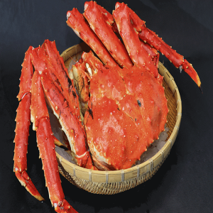 ^oI@p1kgO 1-2lO {CⓀ kCY  Yn