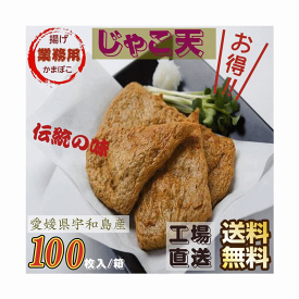 かまぼこ 愛媛県宇和島伝統の味 じゃこ天 業務用 100枚入り/箱 工場直送 送料無料