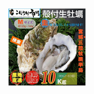 y {錧OEY kty Ɩp MTCY 10kg / Ɩp Yn 