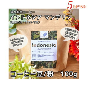 R[q[ 100g×5܃Zbg ChlVA A`F }f E݊n  