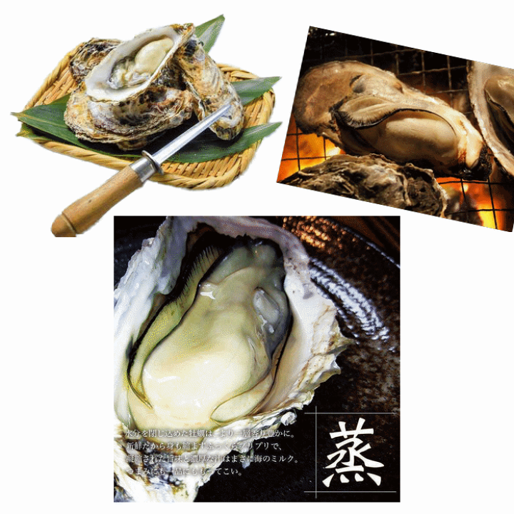 楽天市場】牡蠣 宮城県 三陸・牡鹿半島産 殻付き生牡蠣 無選別 5kg /箱