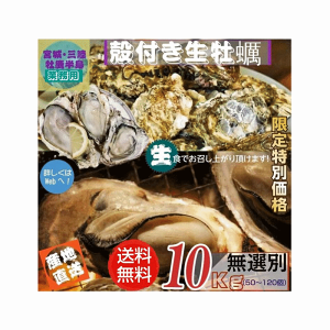 y {錧OEY kty I 10kg / Ɩp Yn 