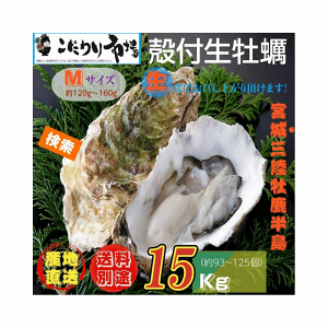 y {錧OEY kty Ɩp MTCY 15kg / Yn 