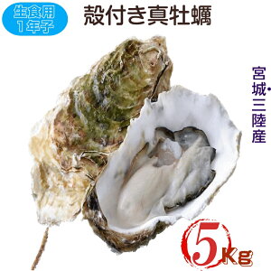 {錧OEY Hp kty Nq 5kg /  Yn 