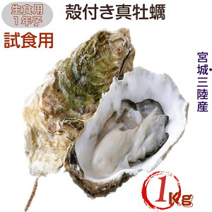 y p {錧O Y Hp kty:Nq 1kg /  Yn 