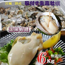 牡蠣 宮城県三陸牡鹿半島産 温湯処理 殻付き生牡蠣 6kg /箱 無選別 産地直送 送料無料