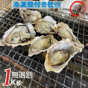 {錧Y Hp kt y 1kg 7`13 JL  L Ⓚ I ς