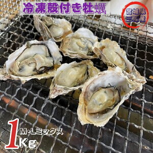 {錧Y Hp kt y 1kg 8`12 JL  L Ⓚ MEL~bNX ς