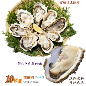 y {錧OEY kty I 10kg / Yn 